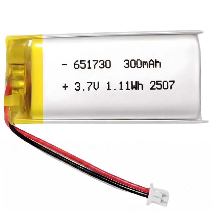 Batteria LIPO DIY 651730 3,7V DC 300mAh CONNETTORI 2P-PH